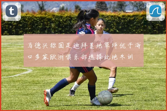 马德兴称国足迪拜基地草坪优于海口多家欧洲俱乐部选择此地冬训