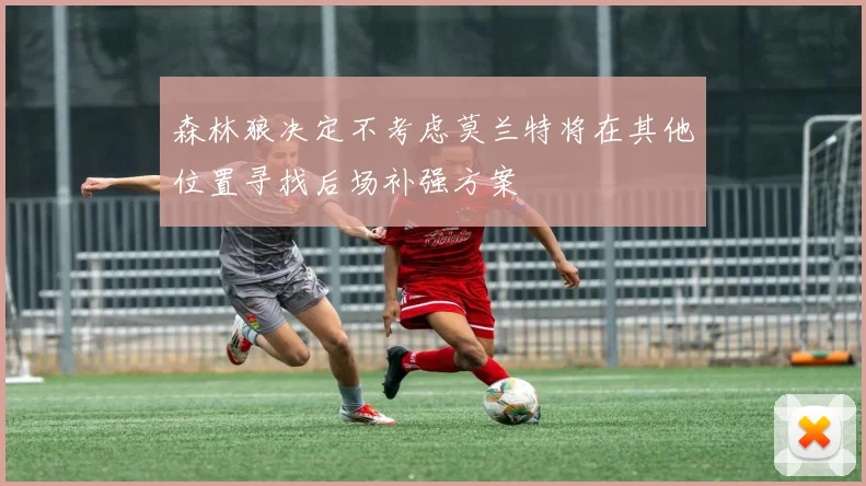 森林狼决定不考虑莫兰特将在其他位置寻找后场补强方案