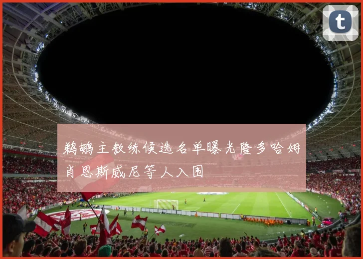 鹈鹕主教练候选名单曝光隆多哈姆肖恩斯威尼等人入围